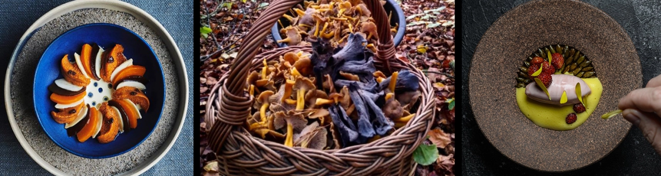 Ultimate Guide to Nordic Food Travel Experiences and Culinary Tours