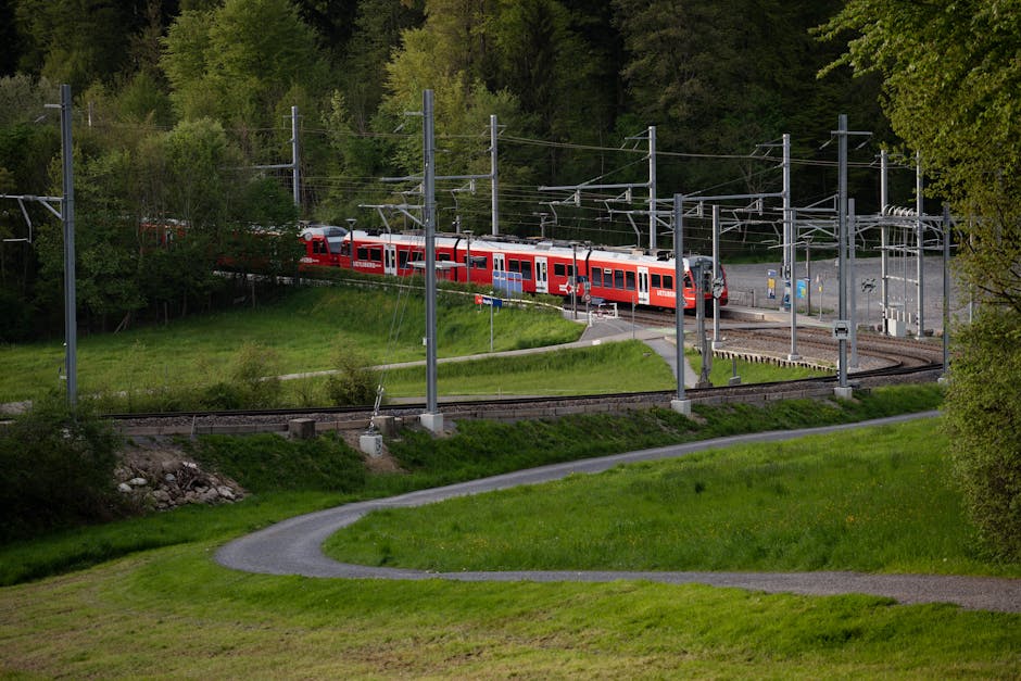 A vibrant red train travels through a lush green forest landscape on a sunny day.