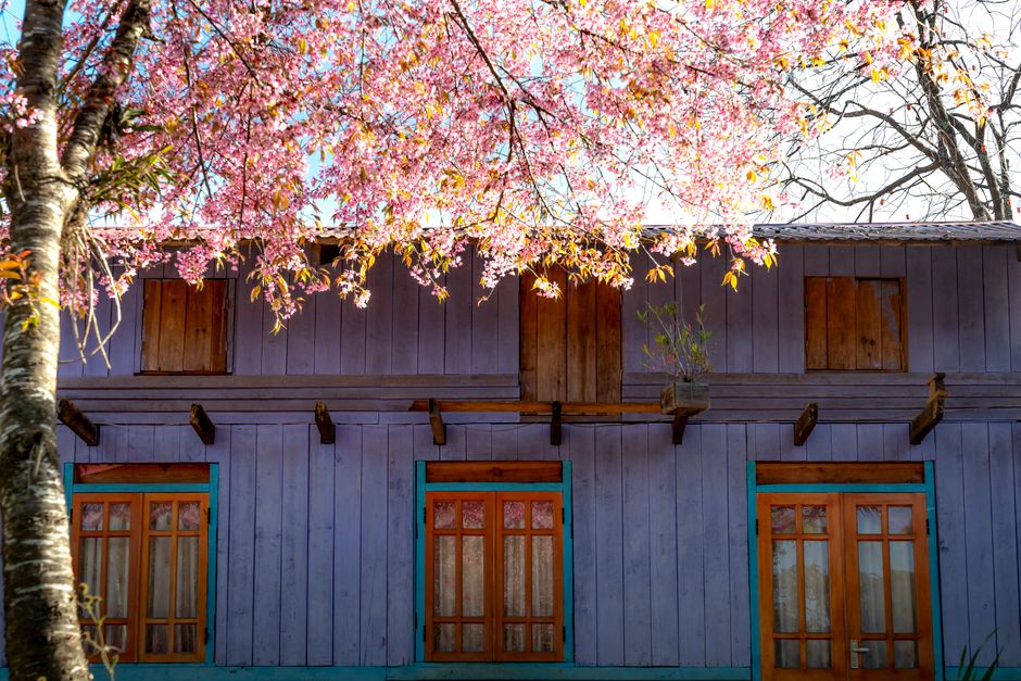 Best Eco-Friendly Hostels in Southeast Asia Under  in 2026