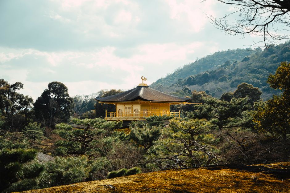Stunning view of the Golden Pavilion surrounded by lush pine trees and hills in Kyoto, Japan.