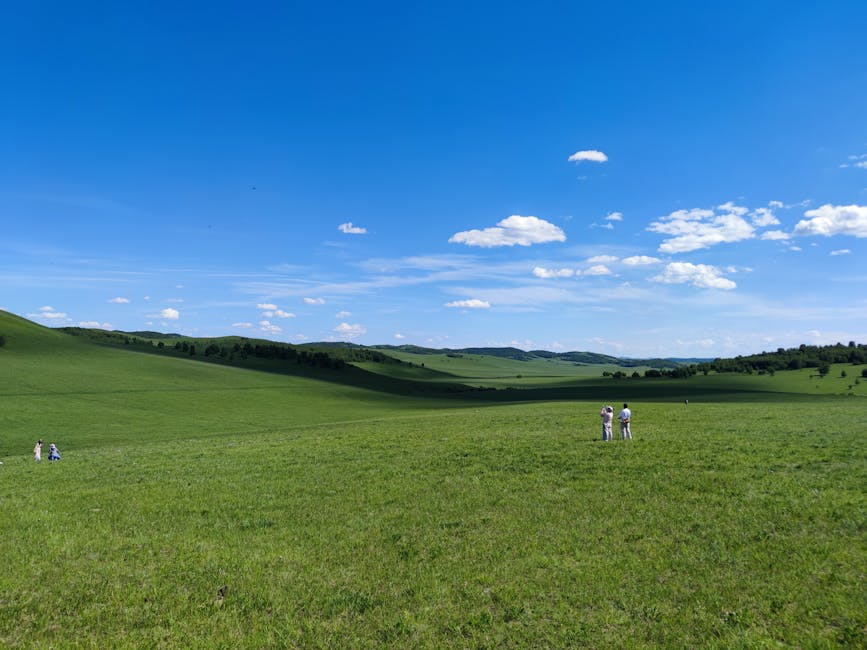 A scenic view of lush grasslands stretching under a vibrant blue summer sky.