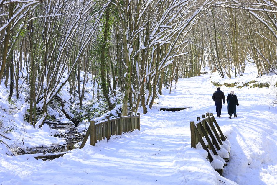 Two people enjoy a peaceful walk through a snow-covered forest on a sunny winter day.