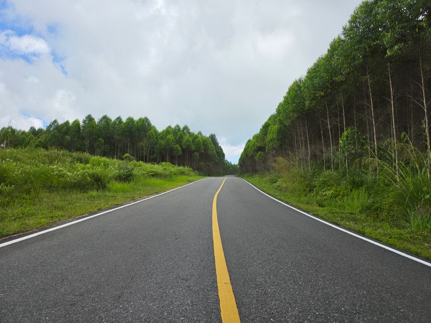 How I Plan a Stress-Free Road Trip with Toddlers (Without Losing My Mind)