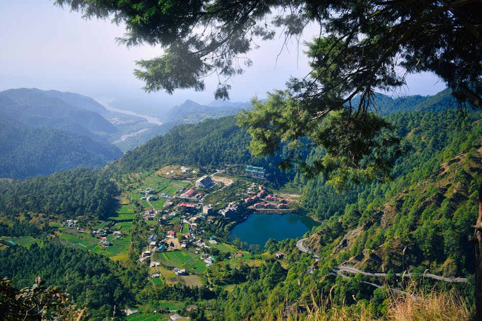 A stunning aerial view of Nainital town and lake surrounded by lush mountains and forest.