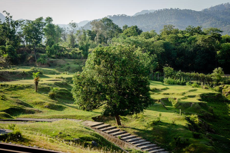 A serene green landscape featuring trees and steps, ideal for nature themes.